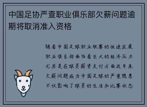 中国足协严查职业俱乐部欠薪问题逾期将取消准入资格 中国足协严查职业俱乐部欠薪问题逾期将取消准入资格